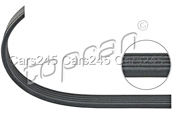 V-Ribbed Belt Fits CITROEN Xsara OPEL Zafira PEUGEOT 306 Partner