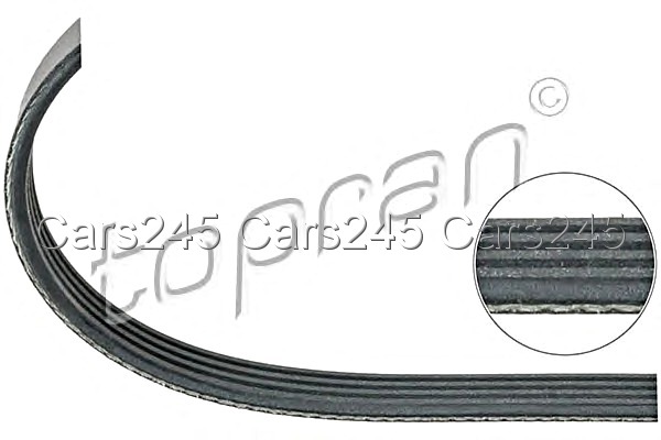 V-Ribbed Drive Serpentine Belt Fits BMW X5 Z4 CITROEN Berlingo
